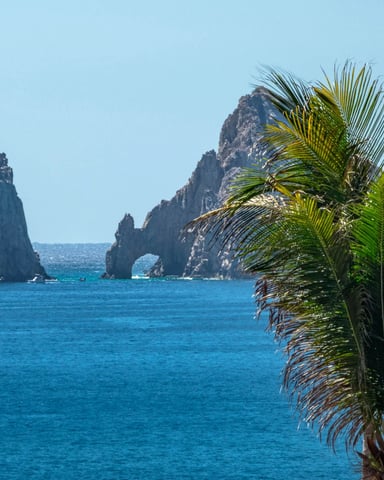 Palm tree fronds in foreground with dramatic rock formations and turquoise sea beyond