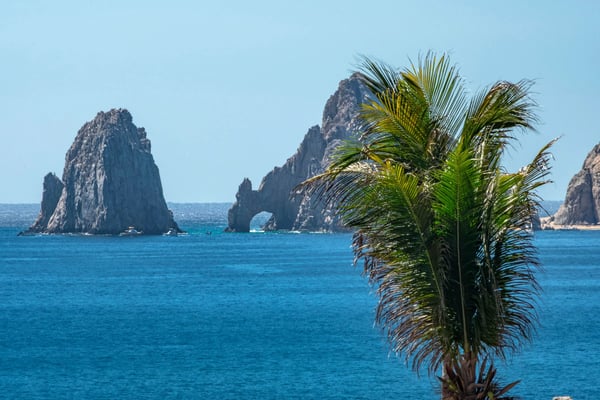 Palm tree fronds in foreground with dramatic rocky sea stacks and turquoise ocean water beyond