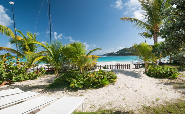 Tropical beach with turquoise water, palm trees, sailboat, wooden dock, and white kayaks on sand
