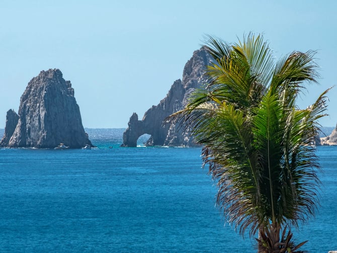 Palm tree fronds in foreground with dramatic rocky sea stacks and turquoise ocean water beyond